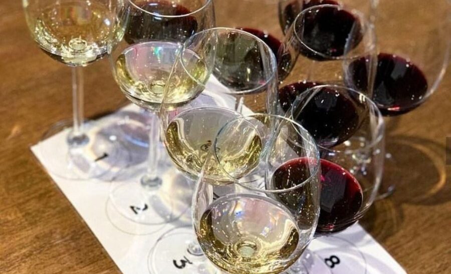 Stellenbosch: Half-Day Wine Tour - How much wine do you actually taste?