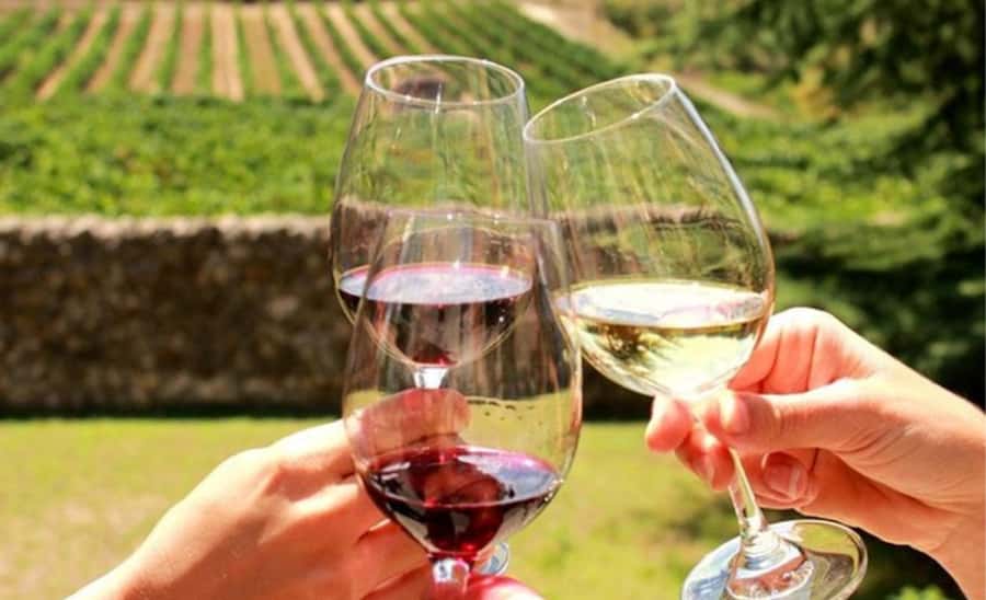Stellenbosch: Half-Day Wine Tour - Leaving Cape Town in a small air-conditioned minivan