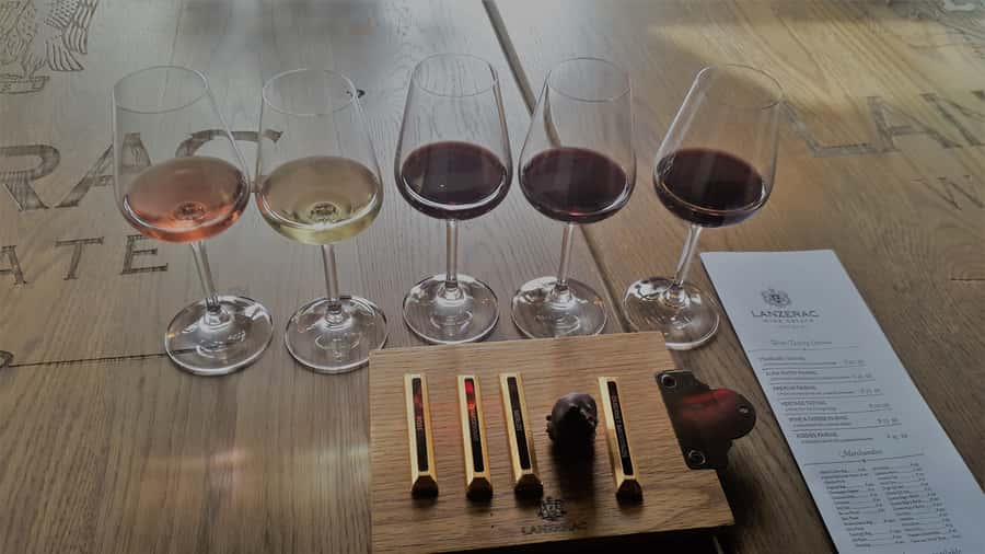 Stellenbosch: Historical Bike Tour & Wine Tasting - How difficult is the ride?