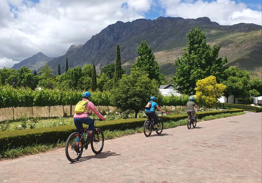 Stellenbosch: Historical Bike Tour & Wine Tasting - Who should book this ride?