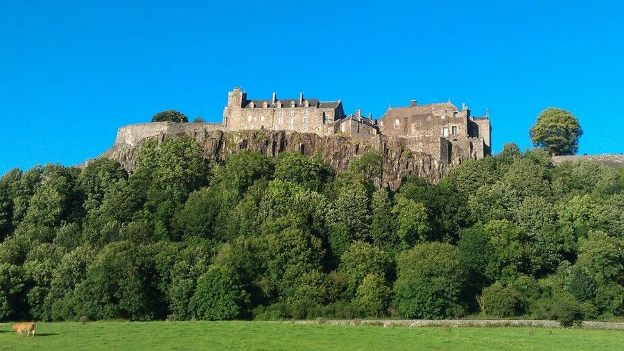 Stirling Castle, Highland Lochs & Whisky Tour from Edinburgh - Highland cows add a lighthearted countryside stop