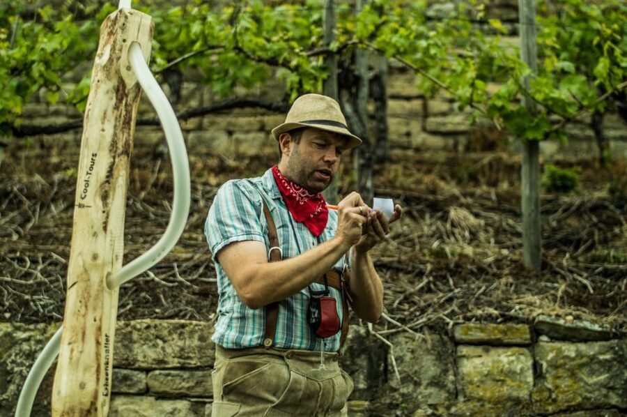 Stuttgart: Guided Vineyards Tour - Walking Stuttgart’s Steinhalde vineyards