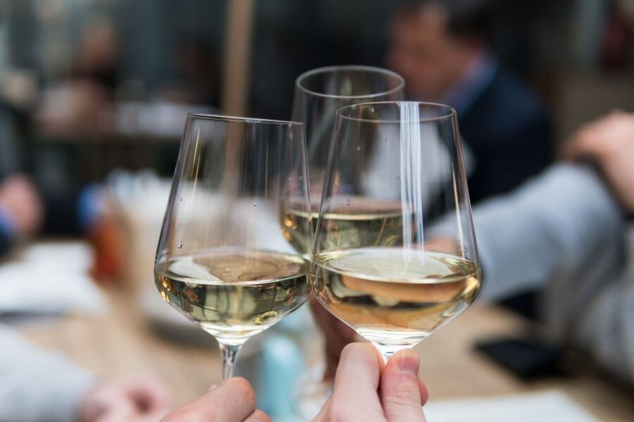 Stuttgart: Guided Vineyards Tour - Wine games that break the ice