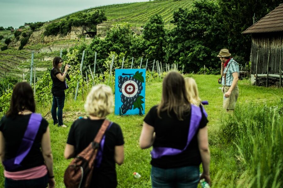 Stuttgart: Guided Vineyards Tour - Who will enjoy this Stuttgart wine outing?