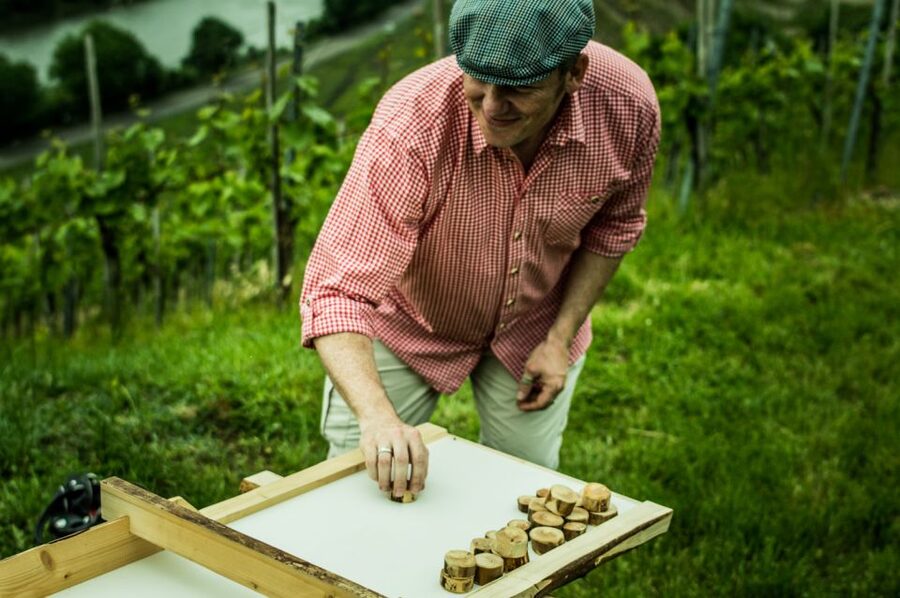 Stuttgart: Guided Vineyards Tour - Language, booking flexibility, and practical details