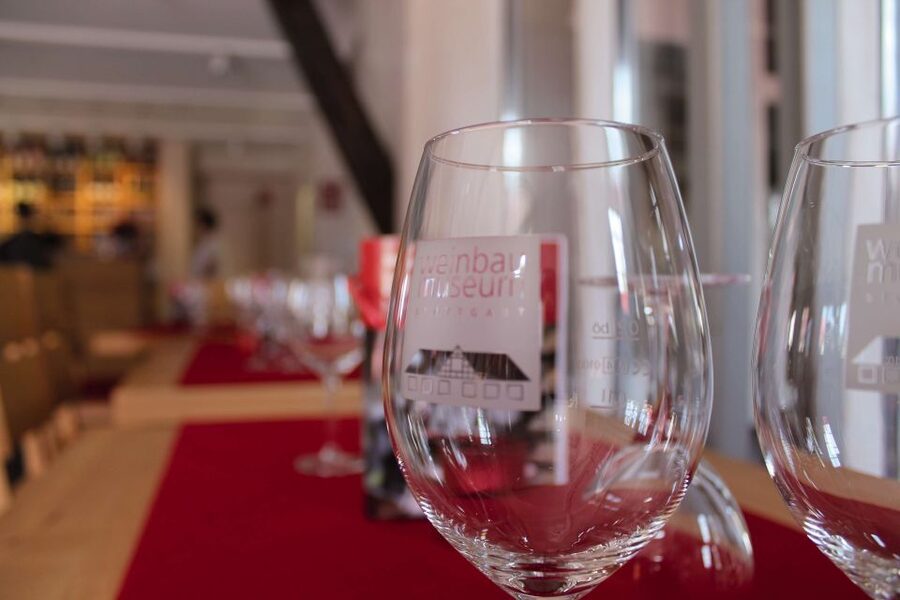 Stuttgart: Stuttgart Wine Museum Wine Tasting - What happens during the one-hour Stuttgart tasting