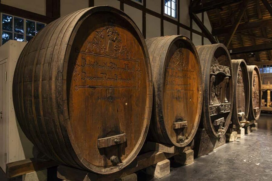 Stuttgart: Stuttgart Wine Museum Wine Tasting - How much value do you get for $31?