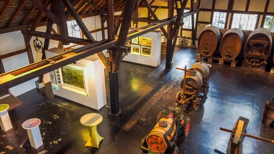 Stuttgart: Stuttgart Wine Museum Wine Tasting - German-only guiding changes the experience