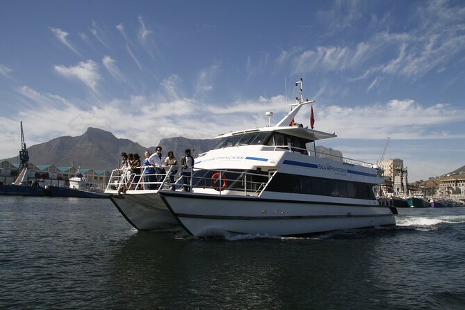Sunset Champagne Cruise from Cape Town - Wildlife sightings on the Atlantic
