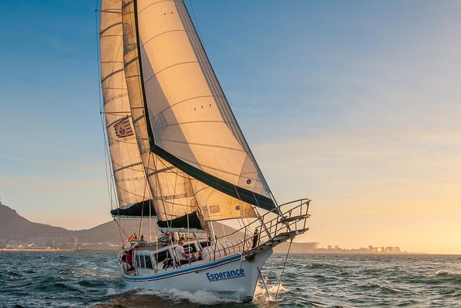 Sunset Champagne Cruise from Cape Town - Champagne, music, and the onboard atmosphere