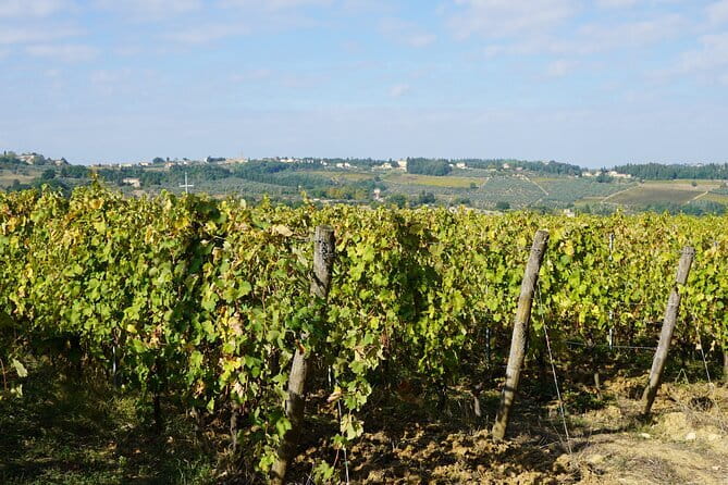 Super Chianti 2 wineries & meat feast @ Dario Cecchini—max 8 pp - Why this Chianti day feels different