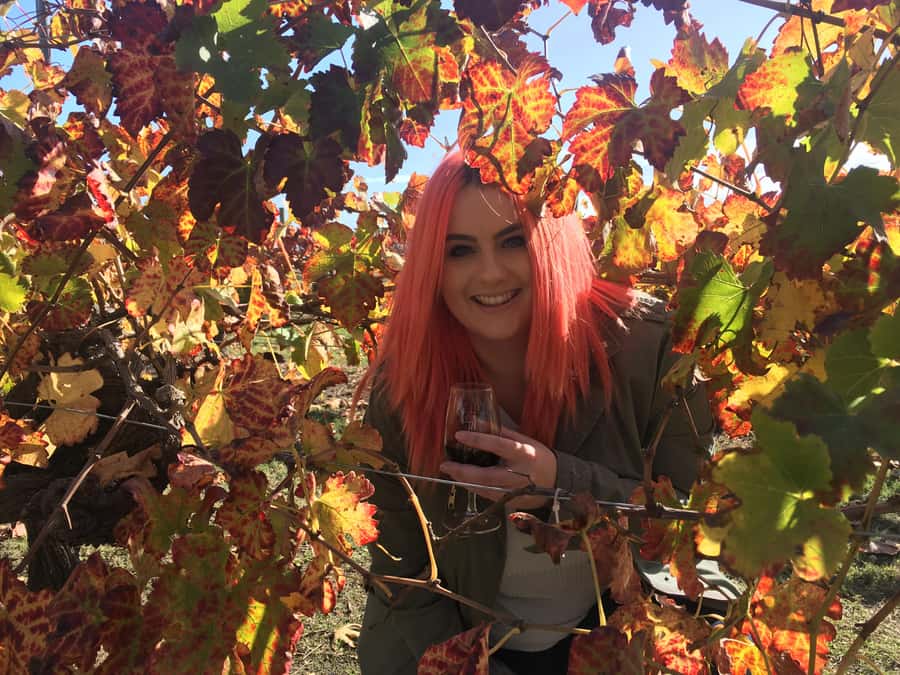 Swan Valley Full-Day Winery Experience with Lunch from Perth - Chocolate, truffles, and local pantry goods