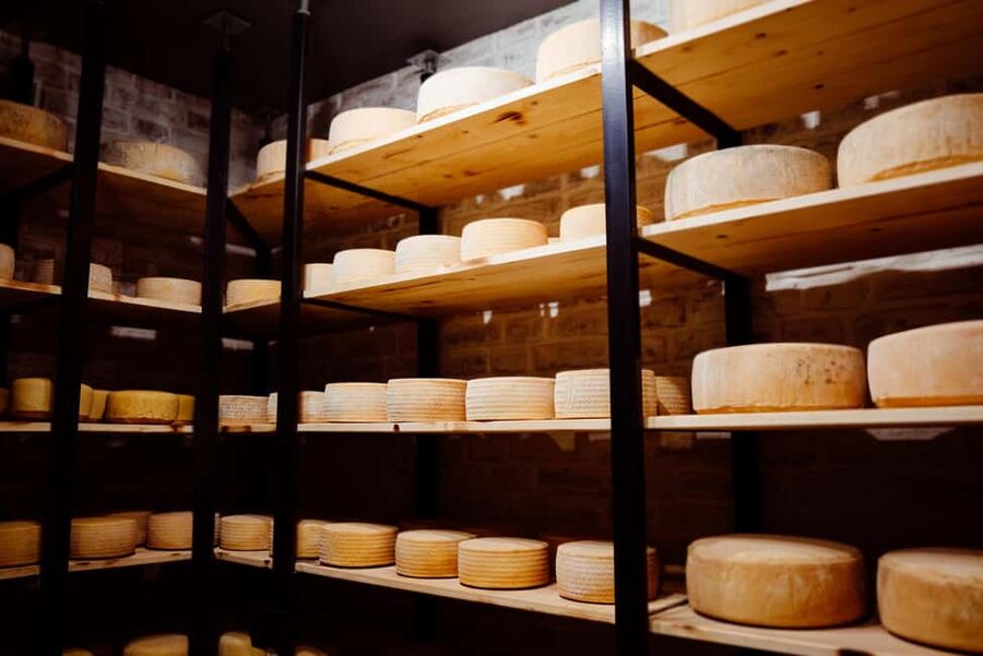 Swiss Cheese Tasting Experience | Basel - Booking details worth knowing