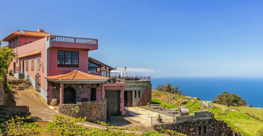 Tacoronte: Guided Winery Tour with Wine and Cheese Tastings - Key points to know before booking