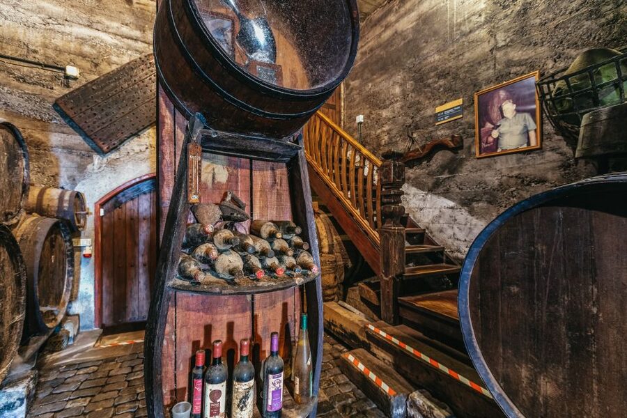 Tacoronte: Guided Winery Tour with Wine and Cheese Tastings - The four wines and their cheese pairings