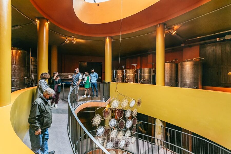 Tacoronte: Guided Winery Tour with Wine and Cheese Tastings - How much time should you allow?