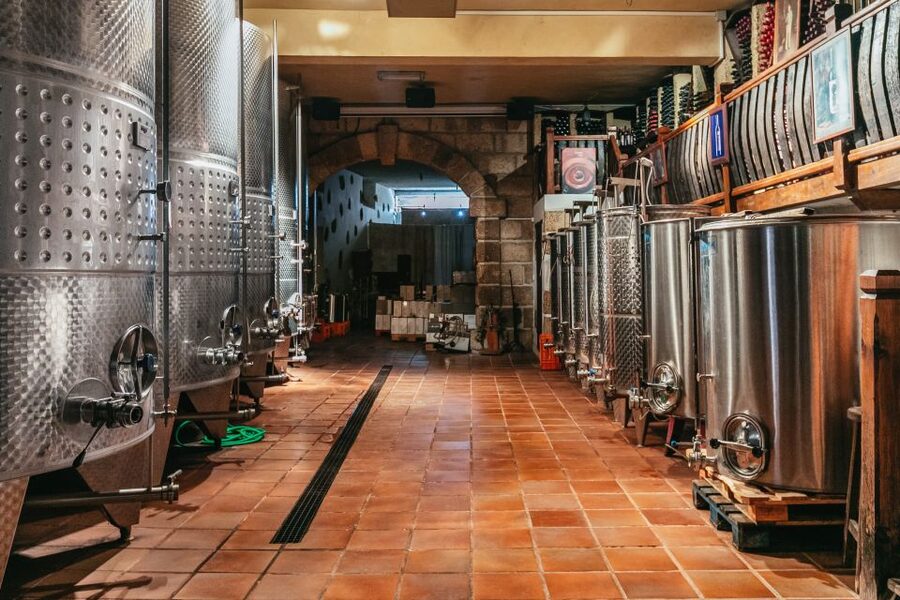 Tacoronte: Guided Winery Tour with Wine and Cheese Tastings - Is $41 a fair price?