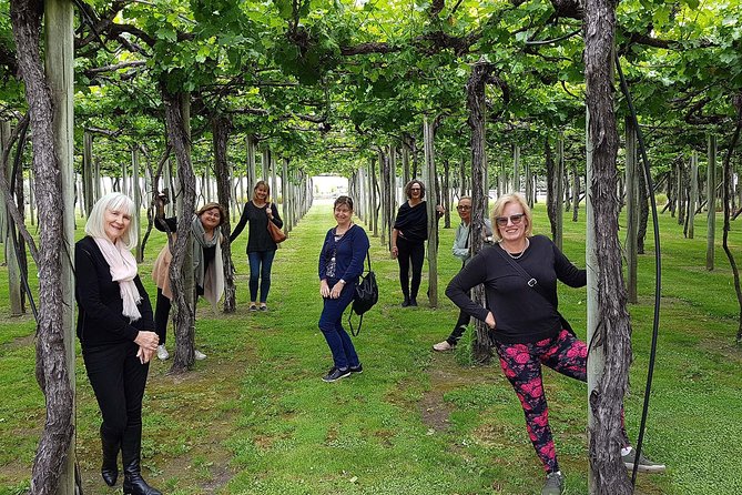 Taste the Valley Wine Tour in Marlborough with Wine Tasting - Wine tastings, food, and pacing