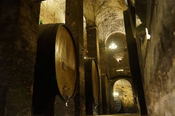 Tasting Tour in One of The Most Beautiful Cellars in the World - Walking among the barrels