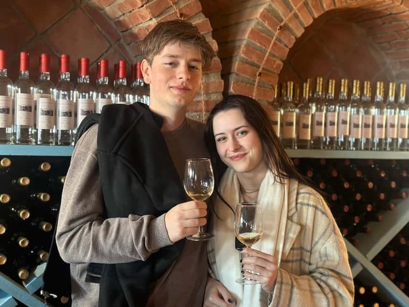 Tbilisi: Kakheti Wine Region Tour with 10 Wine Tastings - The first tasting: a large Kakhetian winemaking operation