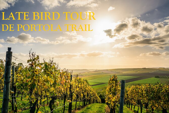 Temecula's Premier Wine Tasting Tour - South Coast Winery starts the route