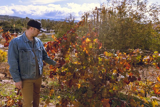 Temecula Valley 4-Hour Morning Wine Tour with Tastings Included - The vehicle and the value of the price