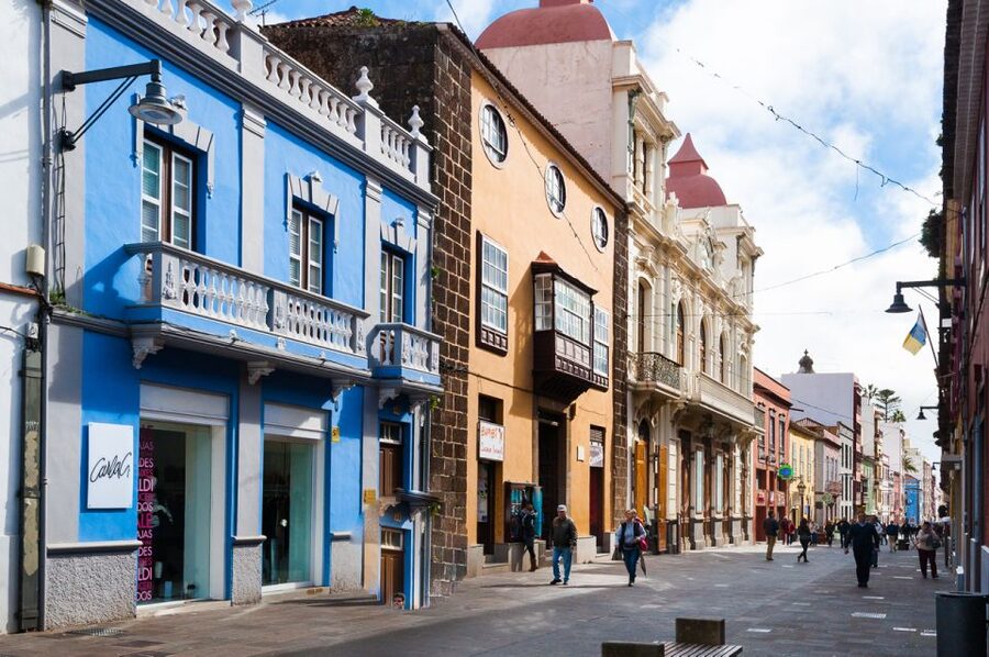 Tenerife: Full-Day Gastronomy and Wine Tour - Key points to know before booking