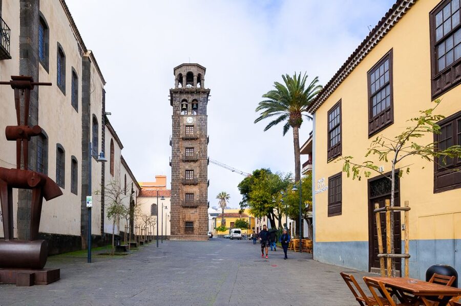 Tenerife: Full-Day Gastronomy and Wine Tour - Why this Tenerife food tour works