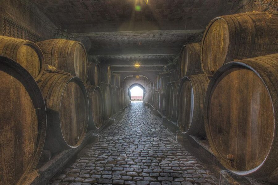 Tenerife: Full-Day Gastronomy and Wine Tour - Cheese and three wines at Casa del Vino