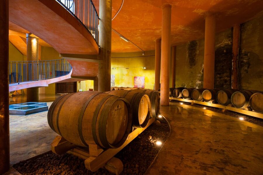 Tenerife: Full-Day Gastronomy and Wine Tour - Food, portions, and special diets