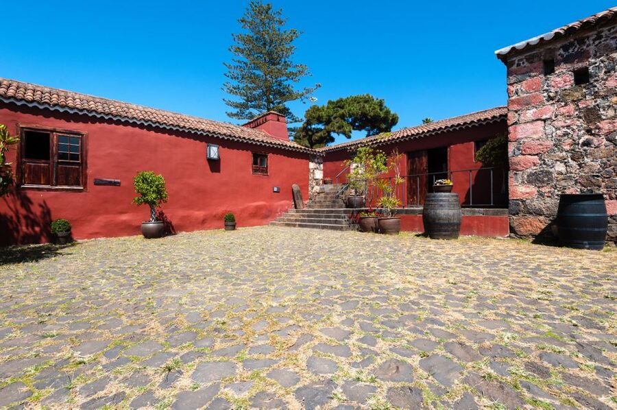 Tenerife: Full-Day Gastronomy and Wine Tour - Who should book this tour?