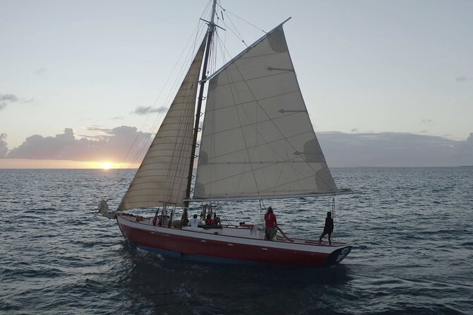 The Best Sunset Sail and Cocktail Hour in Anguilla - Sunset, sails, and the chance of wildlife