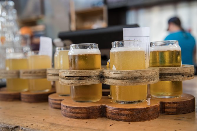 The Brew Bus: Austin Brewery Tour with Live Band - Who will enjoy this tour most
