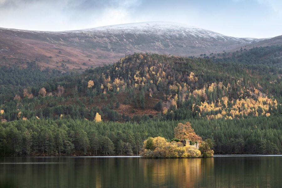 The Cairngorms, Culloden, and Speyside Whisky Tour - Key points to know