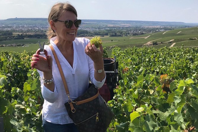 The Connoisseurs from Epernay (Private Half day Champagne Tour) - Guides, group size, and the feel of the day