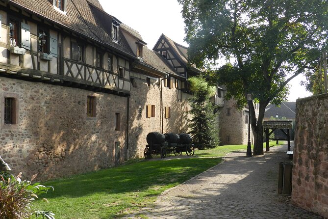The Emblematic: visit of villages, Haut-Koenigsbourg, Wine tasting - Ribeauvillé and the character of the wine road