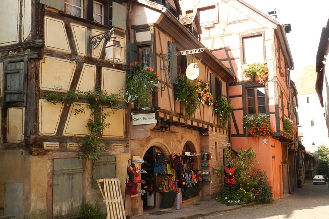 The Emblematic: visit of villages, Haut-Koenigsbourg, Wine tasting - Haut-Koenigsbourg Castle above the vineyards