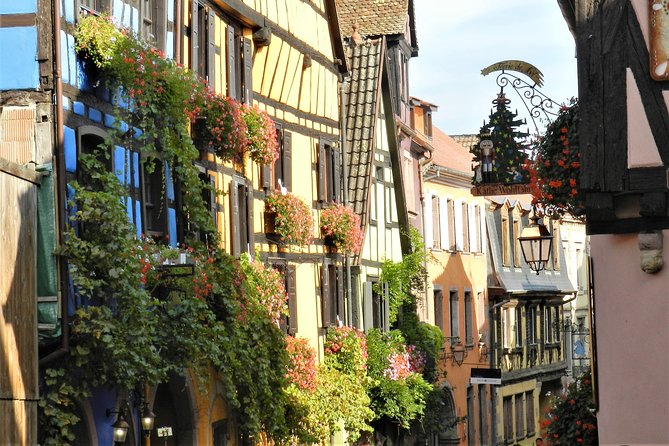 The Emblematic: visit of villages, Haut-Koenigsbourg, Wine tasting - What the guides add to the day