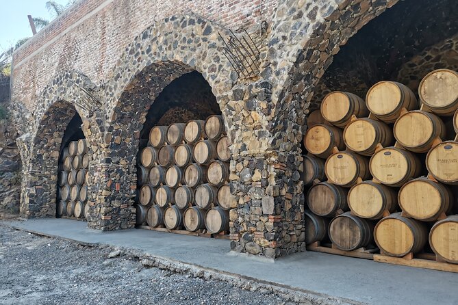 The Fire TOUR - Pyramids, Volcanoes, Agaves & Tequila - Is $89 a good value?