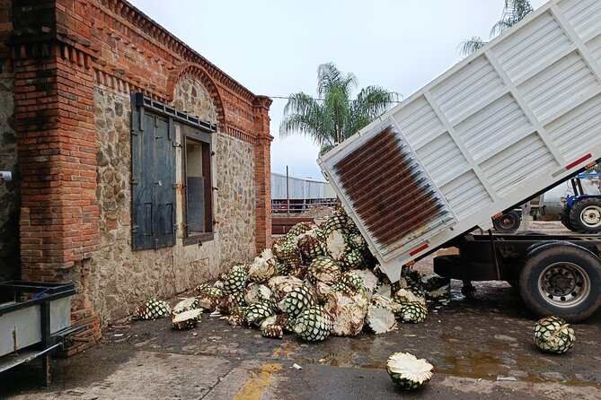 The Fire TOUR - Pyramids, Volcanoes, Agaves & Tequila - Who should book the Fire Tour