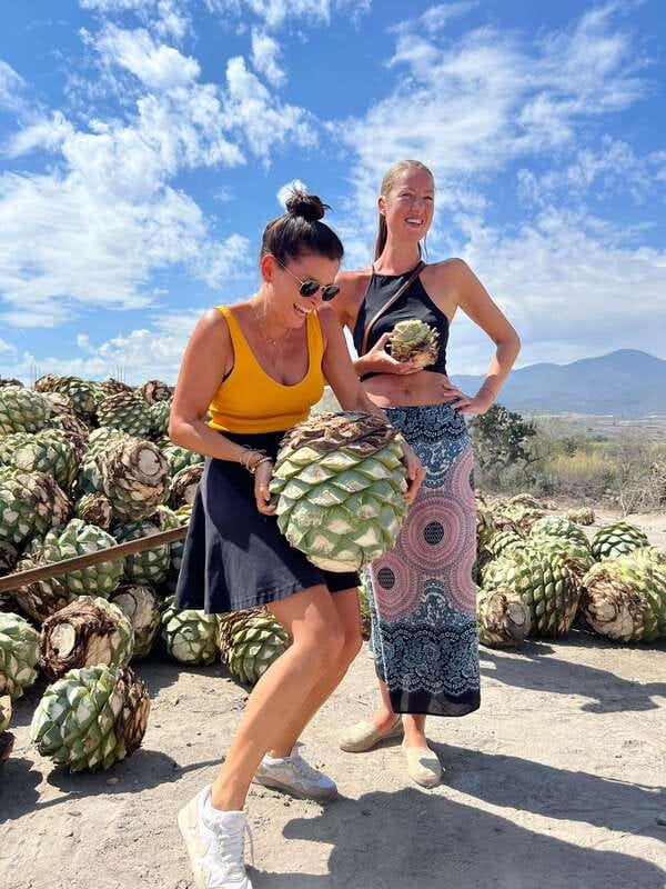 The Mezcal Journey - Should you book The Mezcal Journey?