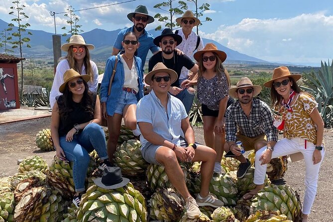 The Mezcal Journey - Why seeing agave fields changes the tasting