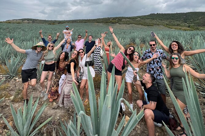 The Mezcal Journey - Seeing mezcal made by hand