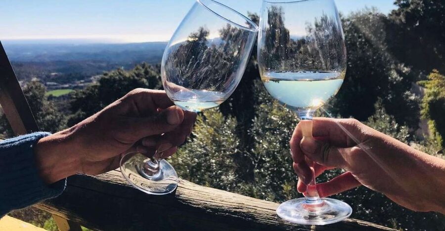 The Real Algarve: 2 Boutique Wineries & Silves Tour - Why two small wineries make this a better Algarve wine day