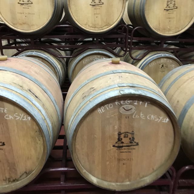 The Real Algarve: 2 Boutique Wineries & Silves Tour - The first winery in Lagoa: a gentle introduction to Algarve wine