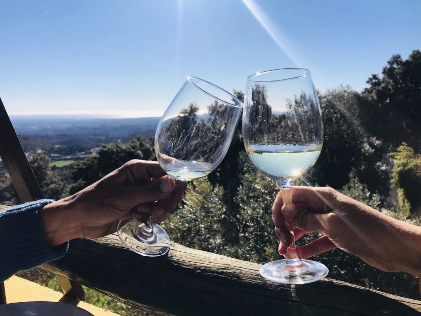 The Real Algarve: 2 Boutique Wineries & Silves Tour - The ride back and the value of a seven-hour day