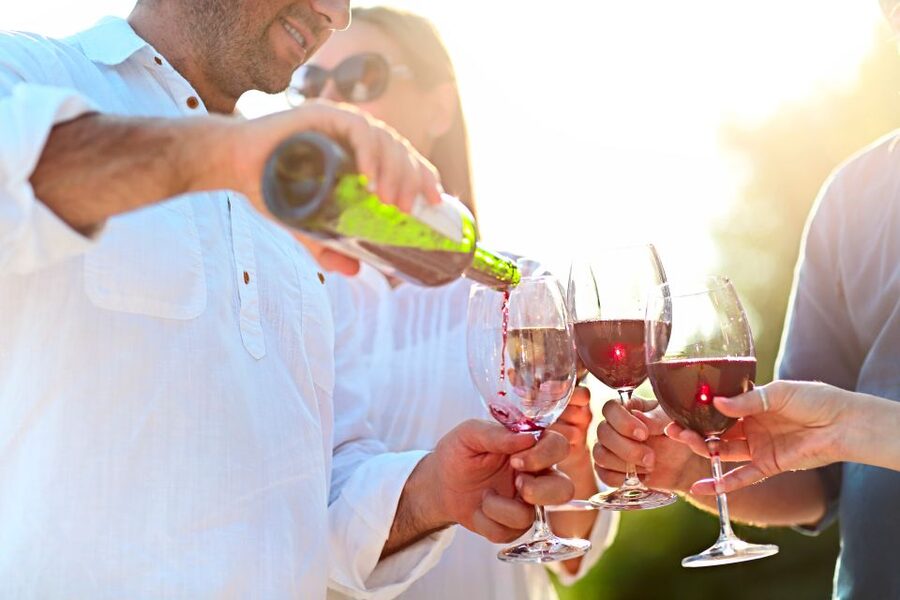 The Real Algarve: 2 Boutique Wineries & Silves Tour - Booking details that matter