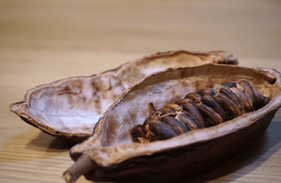 The Turin Chocolate Tasting Experience - Points to consider before booking