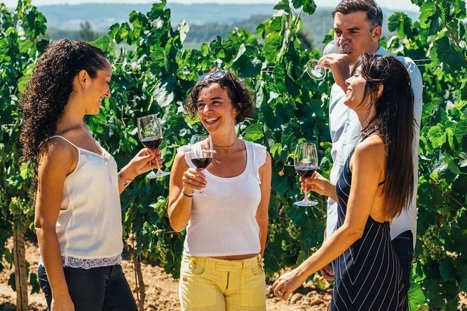 Toledo Tour & Vineyard Walk with Wine Tasting from Madrid - Walking through Toledo’s Jewish Quarter
