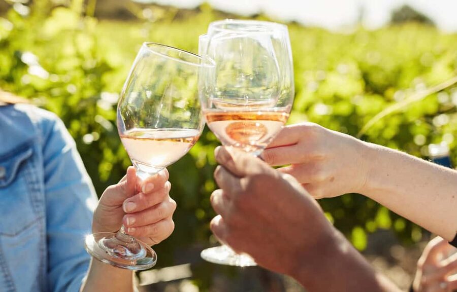 Toronto: Niagara-on-the-Lake, Wine Tasting & Chocolate Tour - A wine-country day instead of a Niagara Falls tour